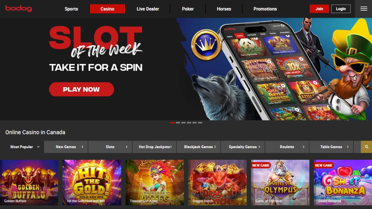 Bodog online casino